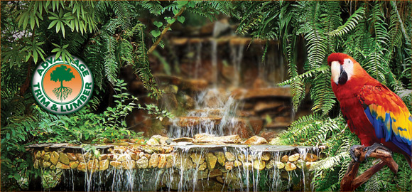 we support our environment